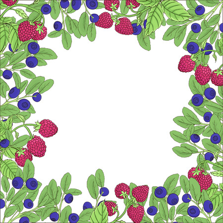 Natural frame of branches of raspberry and blueberry with berries on a white background. Branches dark outline drawn by hand and painted bright colors. Vector illustrationのイラスト素材