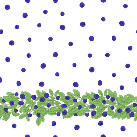 Seamless natural pattern of blueberries with a border of twigs with berries on a white background. Elements of the pattern drawn by hand a dark outline and painted bright colors. Vector illustrationのイラスト素材
