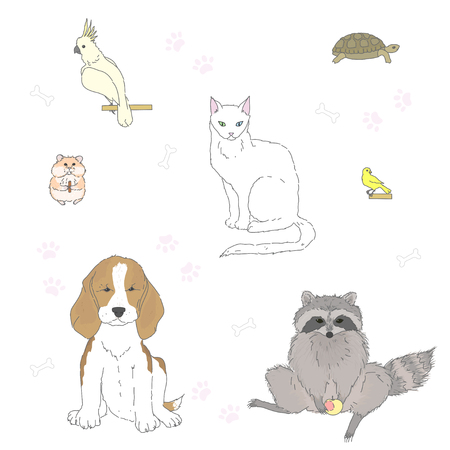 Set of isolated cute pets on a white background.のイラスト素材