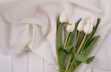 White tulips on white wooden background.の写真素材