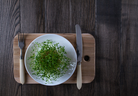 Garden cress on white plate with fork and knife. Healthy vegetarian food.Fresh herbs.の写真素材