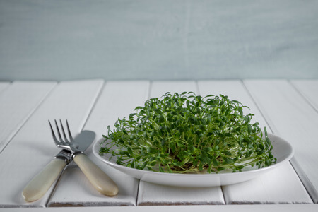 Garden cress on white plate with fork and knife. Healthy vegetarian food.Fresh herbs.の写真素材