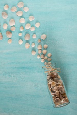Seashells spill out of the bottle glass on the blue background. Top view