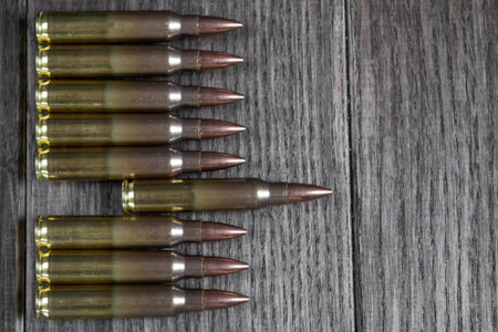 A row of ammunition. Concept of the first shot.