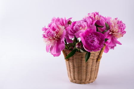 Fresh bouquet of peonies in a  basket  isolated  on a white backgroundの写真素材