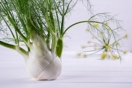 Raw fennel bulbs with green stems and leaves, fennel flowers and root ready to cook on  white backgroundの写真素材
