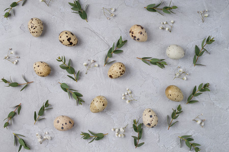 Happy Easter  or spring greeting card pattern. made of quail eggs and leaf sprigs of eucalyptus. On a gray concrete background. Flat layの写真素材