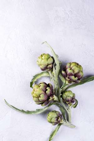 Fresh  raw artichokes on grey background. Ripe organic artichoke flower with copy spaceの写真素材