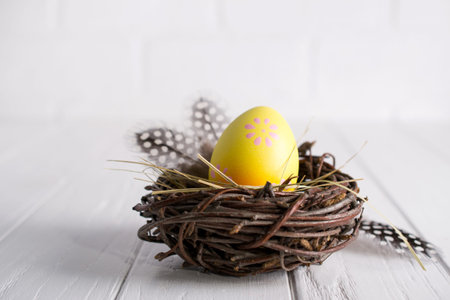 Minimal easter composition. Yellow decorative chicken egg in the nest. Mimosa flowers and feathers....