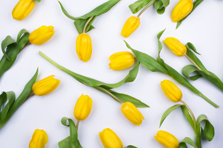 Floral pattern made of yellow tulip on white background. Flowers pattern texture. Flat lay, top view.の写真素材