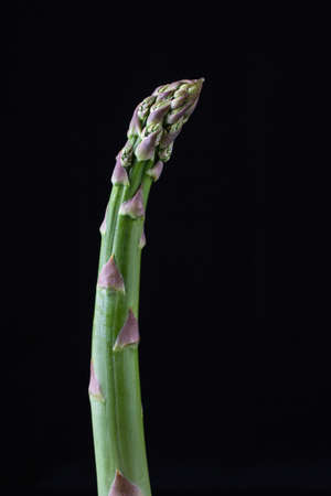 Fresh organic green asparagus isolated on black background. closeup shotの写真素材
