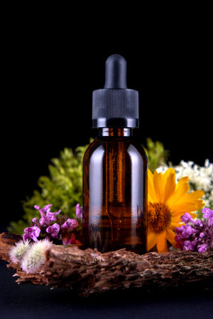 Cosmetic bottle on nature background. Natural eco friendly organic cosmetics concept.