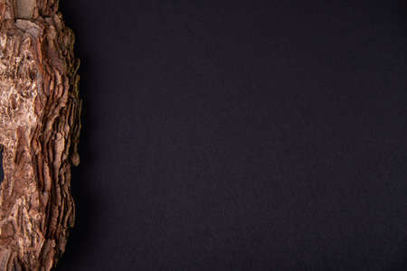 Cosmetic bottle on nature background. Natural eco friendly organic cosmetics concept.の写真素材