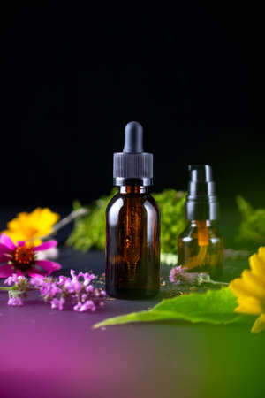 Cosmetic bottle on nature background. Natural eco friendly organic cosmetics concept.の写真素材