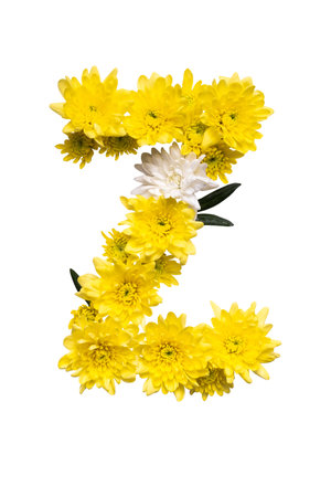 ABC collection of letters. Letter Z made of real leaves and flowers on white backgroundの写真素材