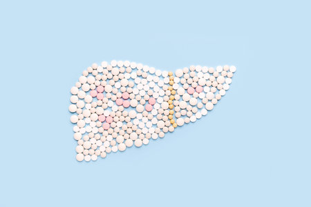 Liver made of pills. Liver antiviral treatment of Hepatitis concept.の写真素材