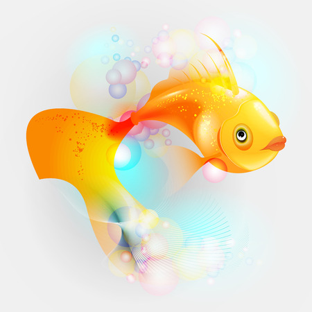 Gold fish on the colorfull backgroundの写真素材