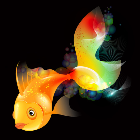 Gold fish on the colorfull backgroundの写真素材