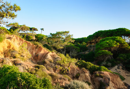 Rock cliff in Portugalの写真素材