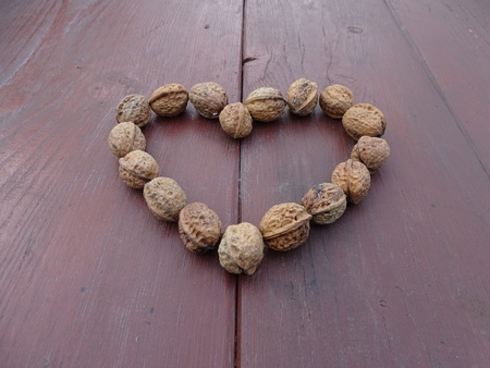 Love and health togetherの写真素材