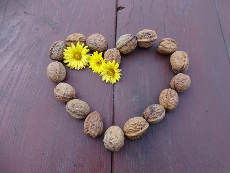 Love and health togetherの写真素材