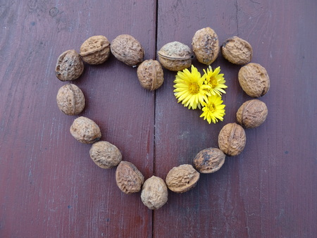 Love and health togetherの写真素材