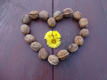 Love and health togetherの写真素材