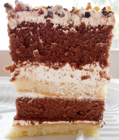 A piece of chocolate cake