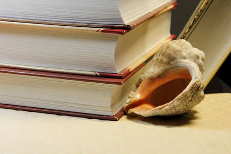 Books and sea shellの写真素材