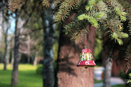 Christmas toy hanging on a fir branchの写真素材