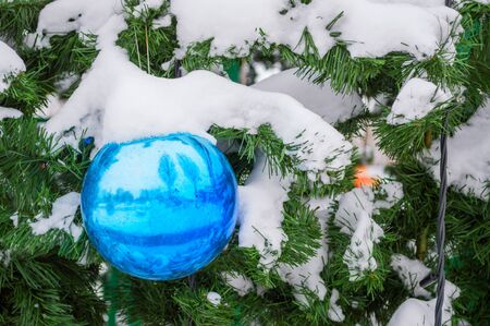 Christmas tree with blue toy in snow, closeup. New Year cardの写真素材