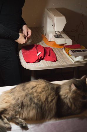 Dressmaker's hands sewing red fabric with needle and thread on table and lying catの写真素材