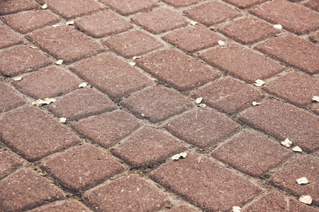Street red rounded paving slabs, semicircular paved diagonally, texture and backgroundの写真素材