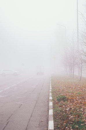 Traffic on the highway in thick fog, fallen leaves and bare trees on the side of the roadの写真素材