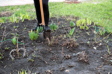 Digging up ground on flower bed with shovel in springの写真素材