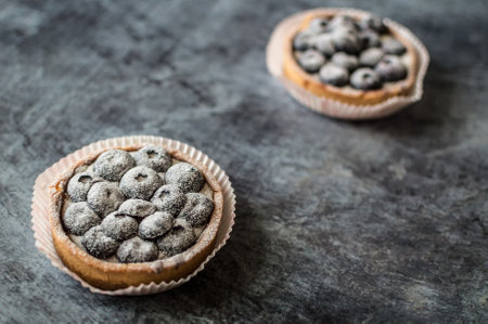 Blueberry goat cakes with blue berries on a dark vintage backgroundの写真素材