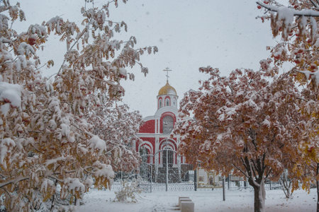Bright red church and autumn mountain ash branches under snow during heavy snowstorm and snowfallの写真素材