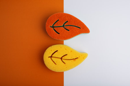 Flat lay with orange and yellow leaf shaped sponges for home and dishes cleaning on orange and white backgroundの写真素材