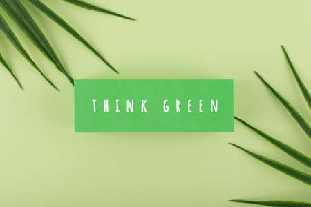 Green marketing minimal concept on bright green background decorated with palm leavesの写真素材