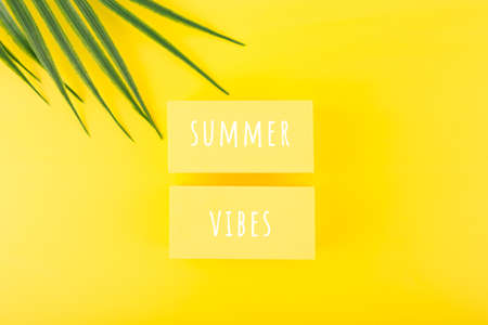 Holiday backdrop with summer vibes inscription on yellow background with palm leaf. Creative summer compositionの写真素材