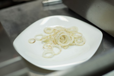 Deep-fried onion on a plateの写真素材