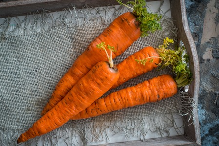 Fresh organic carrots in crate on a gray backgroundの写真素材