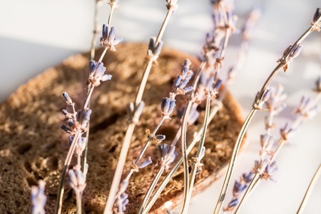 Traditional black bread, lavender close-up on a white background Spring healthy summer breakfastの写真素材