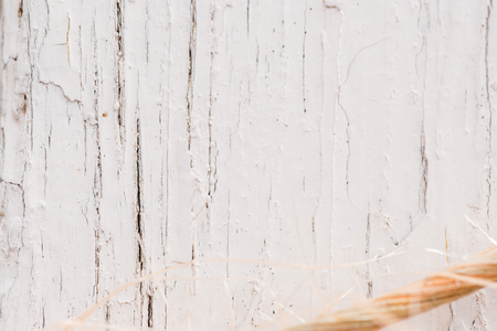Grunge background. Peeling paint on an old wooden floor, Cord rope hanging on a treeの写真素材