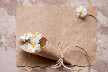 Chamomile herbarium composition on a craft paper, Summer concept. old notebook inscription sheet. Copy space, top viewの写真素材