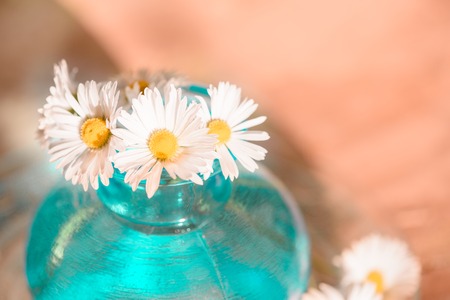 Daisies in a blue vase, Chamomile blue vase chamomileの写真素材