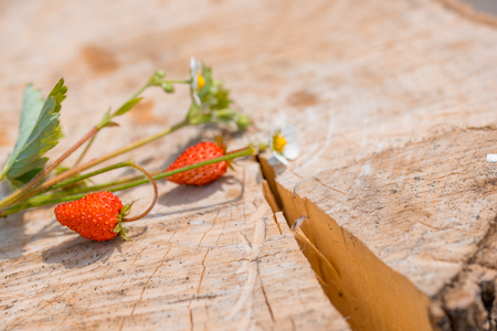 Strawberry on wood background. Red strawberries . with green leaves. Healthy strawberries. flowerの写真素材