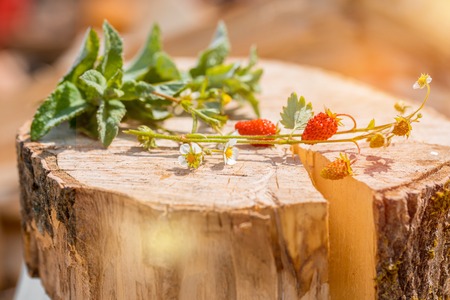 flowers and strawberries on an old wooden logの写真素材