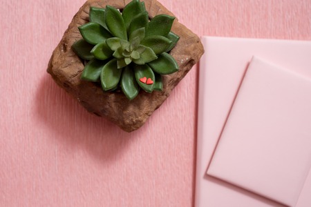 The hand of the little baby. A cute baby. Pink notebook, cactus succulent on a pinkの写真素材