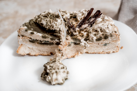 Fungus growth on chocolate cake. Gray background. white plate. Selective focusの写真素材